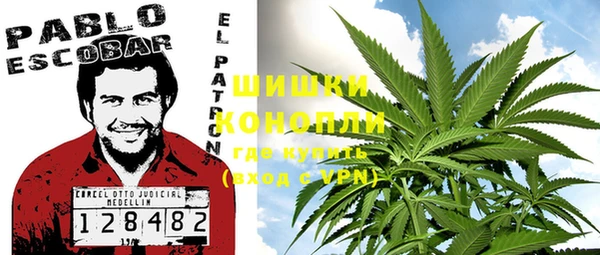 ешки Аркадак
