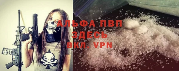 ешки Аркадак