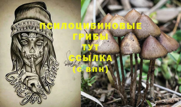 гашишное масло Михайлов