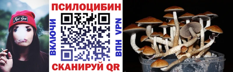 как найти закладки  Губкин  Галлюциногенные грибы мухоморы 
